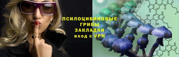 spice Арсеньев