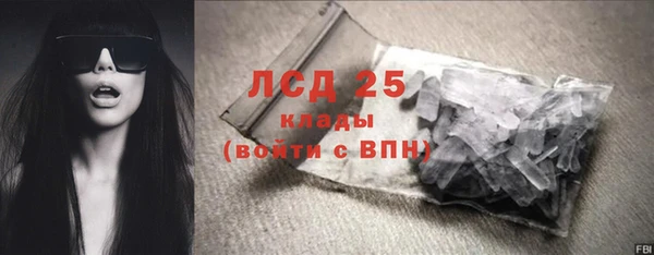 трава Аркадак