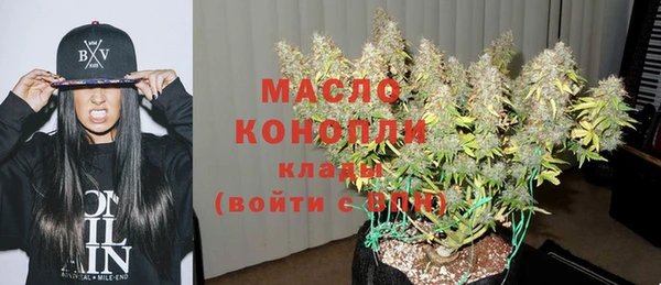 дживик Пересвет