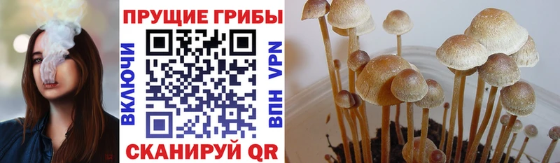 Галлюциногенные грибы мухоморы  Тайшет 